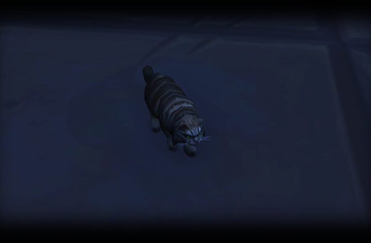 Mascota secreta de Battle for Azeroth – Jenafur