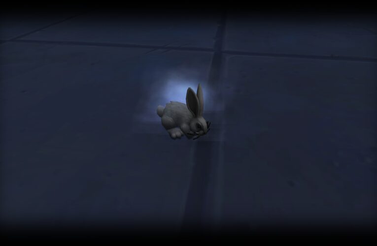Conejo de polvo, la mascota oculta de Dalaran