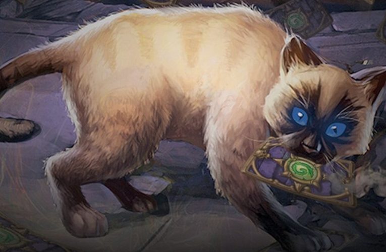 Bandas con correa I – Guia del logro