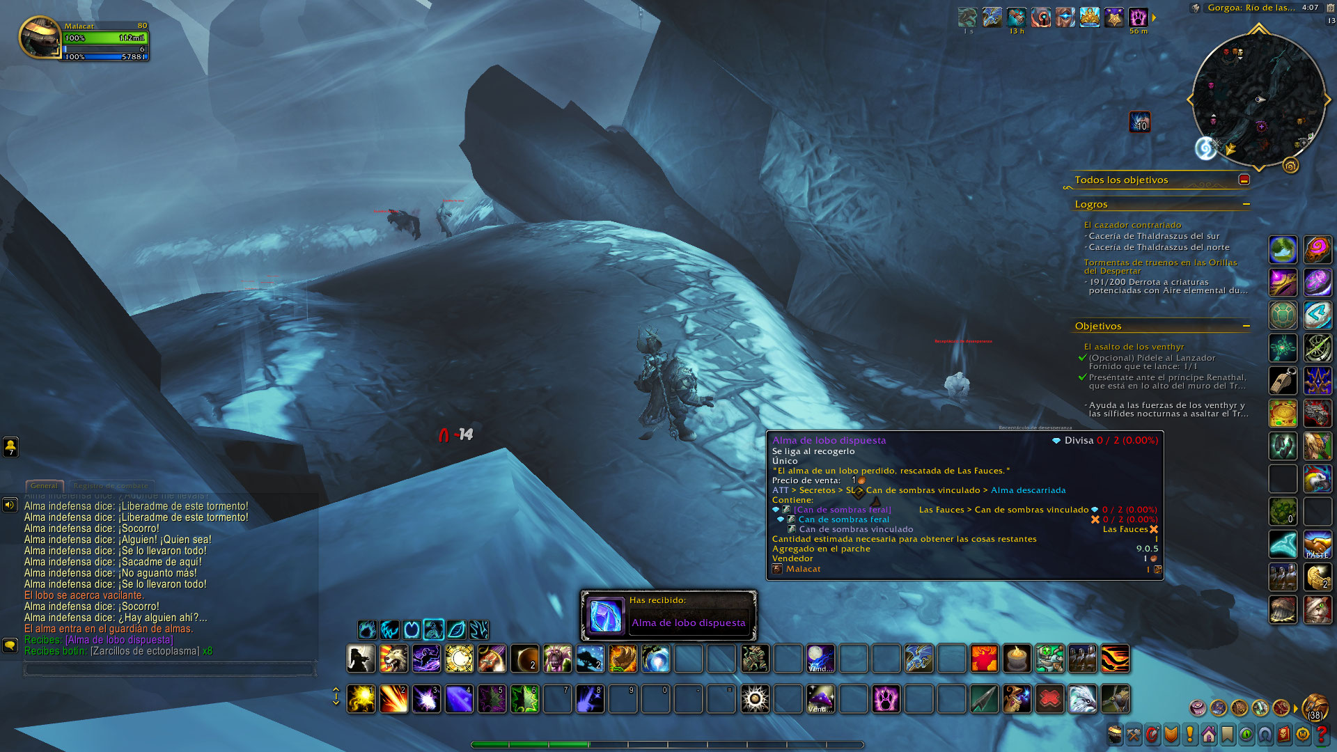 Can de sombras vinculado